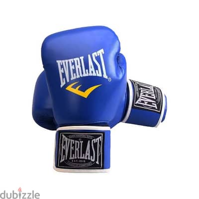 Everlast Leather Training Gloves For Boxing