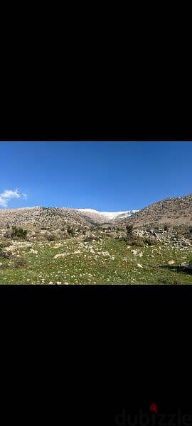 ارض للبيع في راشيا الوادي land for sale in rashaya