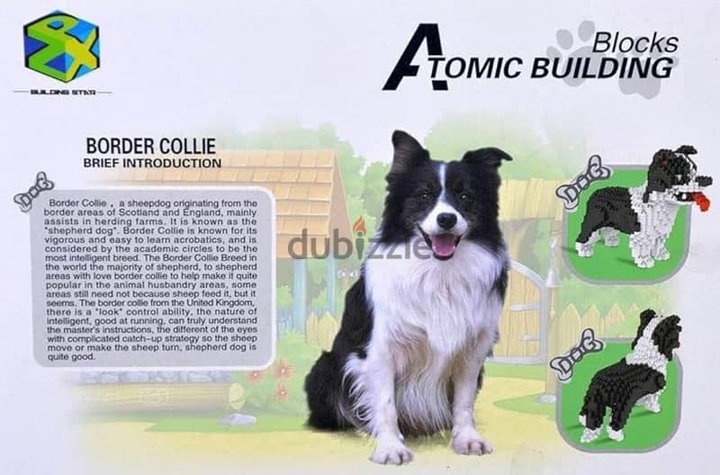Atomic Building Border Collie dog. Figure to assemble with nanoblocks. 3