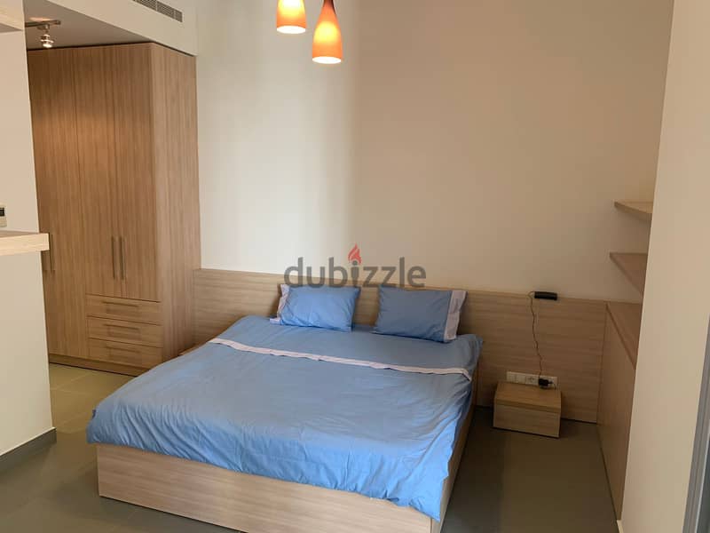 "Furnished 1-Bedroom Apartment in Saifi/Gemmayze" 7