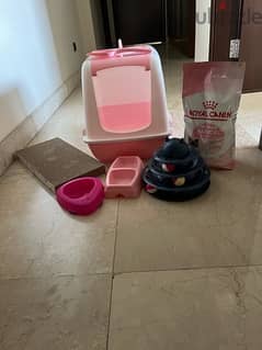 cat accessories (almost brand new)