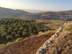 5046 Sqm | Land For Sale in Ain Dara 0