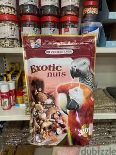 Exotic nuts for your birds 0