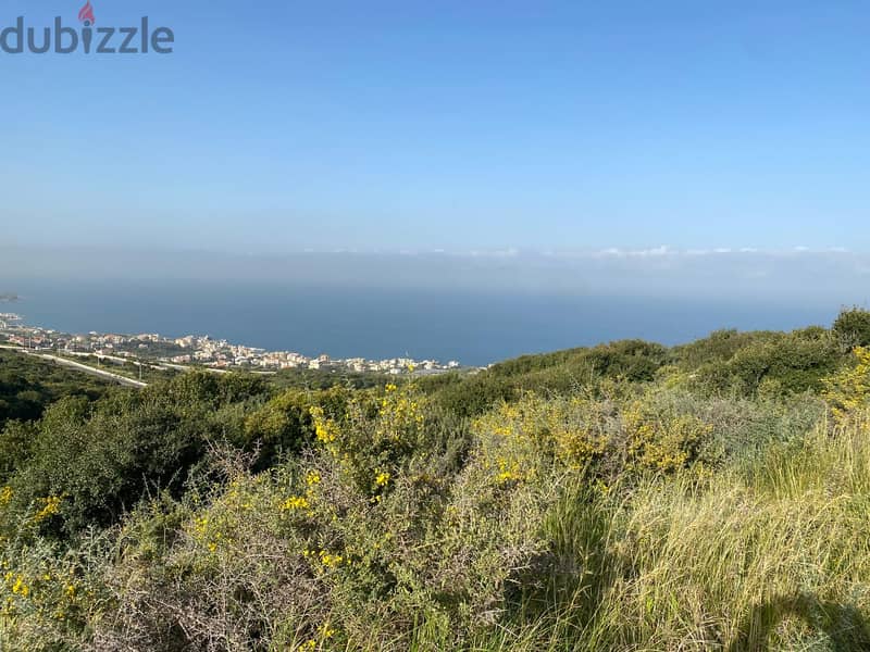 Land for sale in Edde-Batroun  أرض للبيع في إده البترون 4