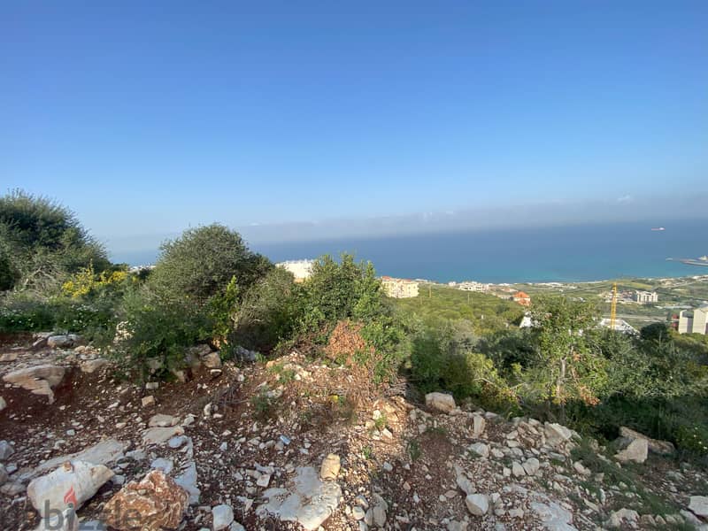 Land for sale in Kfaraabida ارض للبيع في كفرعبيدا 3