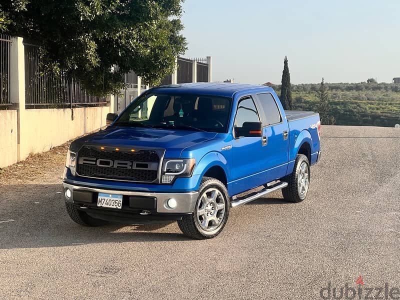 Ford F150 model 2014 (mint condition) 10