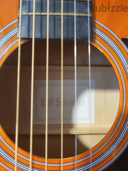 Karl Shneider Accoustic Guitar 1