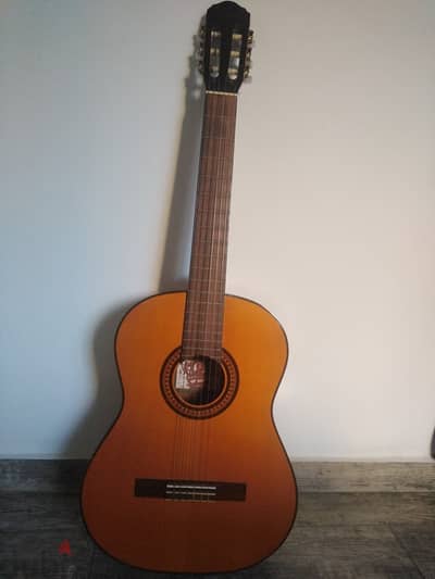 classic guitar (Oscar Schmidt)