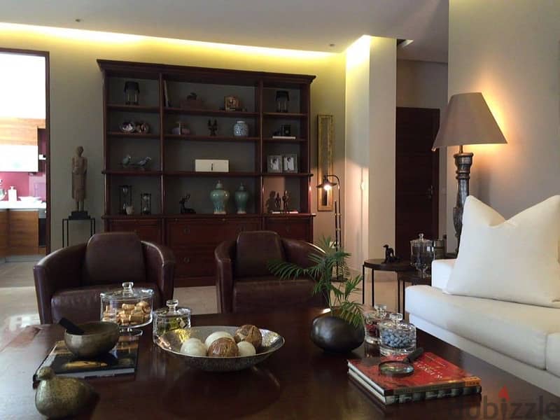 Deluxe furnished Apartment for rent 2