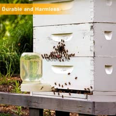 عشر خلية نحل مع براويزهم و الغطا -قفير نحل-10 Bees box