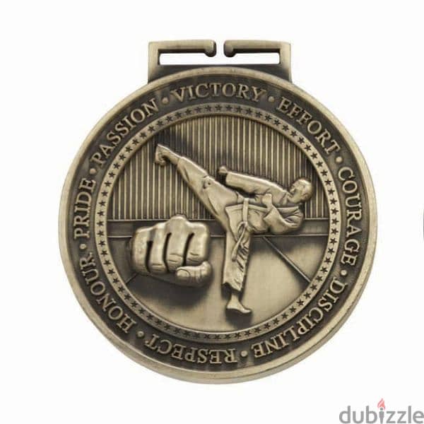 Medal For All Fighting Sports 1