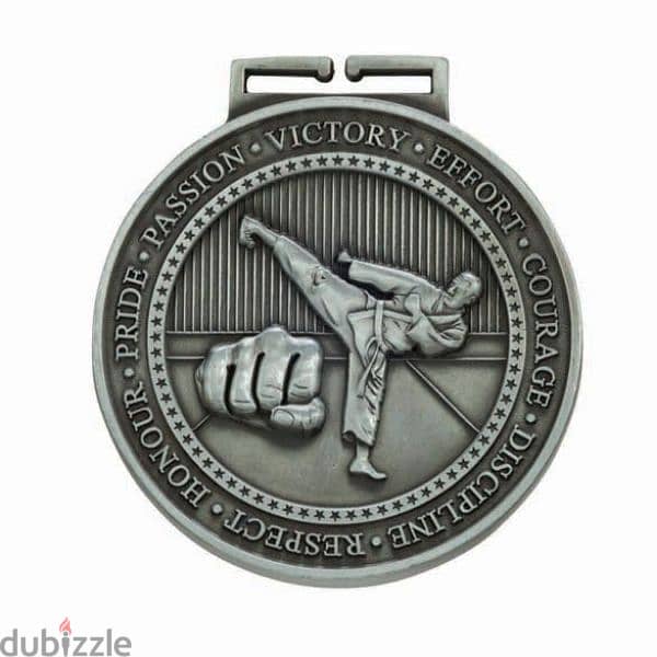 Medal For All Fighting Sports 2