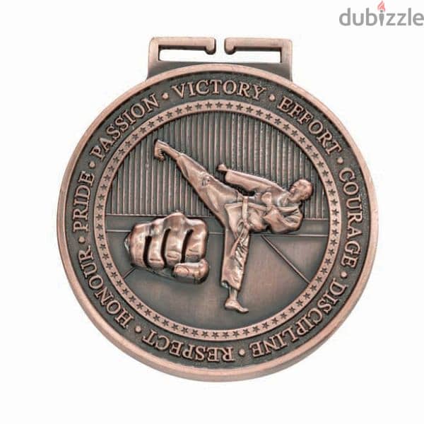 Medal For All Fighting Sports 3