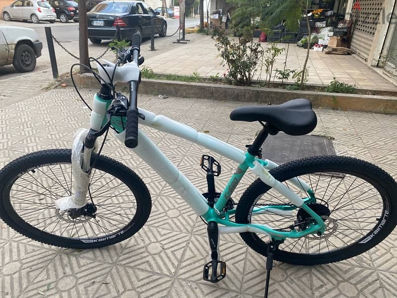 bycicle 18