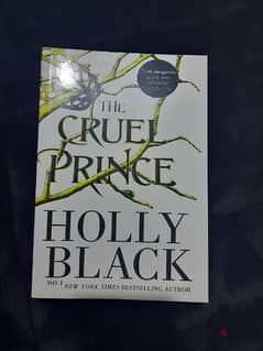 english novel The Cruel Prince