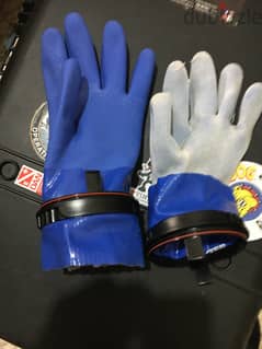 Dexter gloves for diving