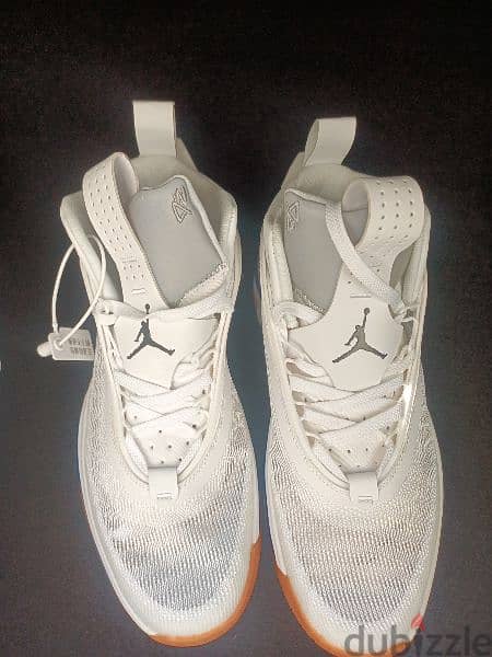 men's shoe 45 new original Nike Jordan 2