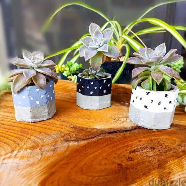 concrete pots flowers customized 2