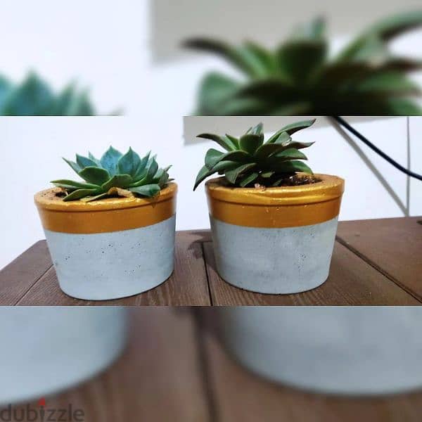 concrete pots flowers customized 11