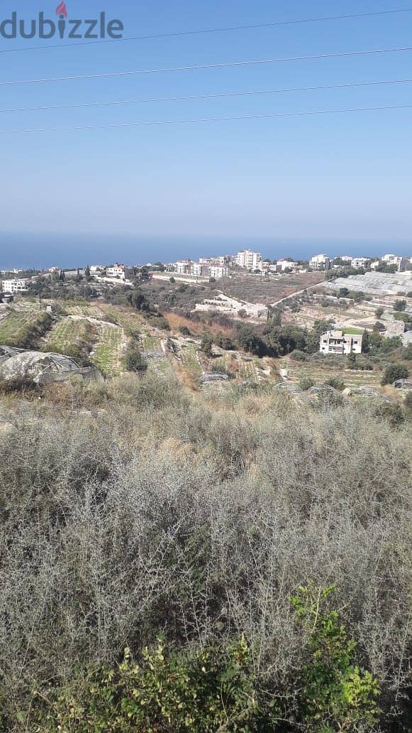 Land for sale in Kfarmashoun Jbeil أرض للبيع في كفرمسحون جبيل 1