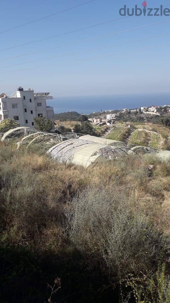 Land for sale in Kfarmashoun Jbeil أرض للبيع في كفرمسحون جبيل 4