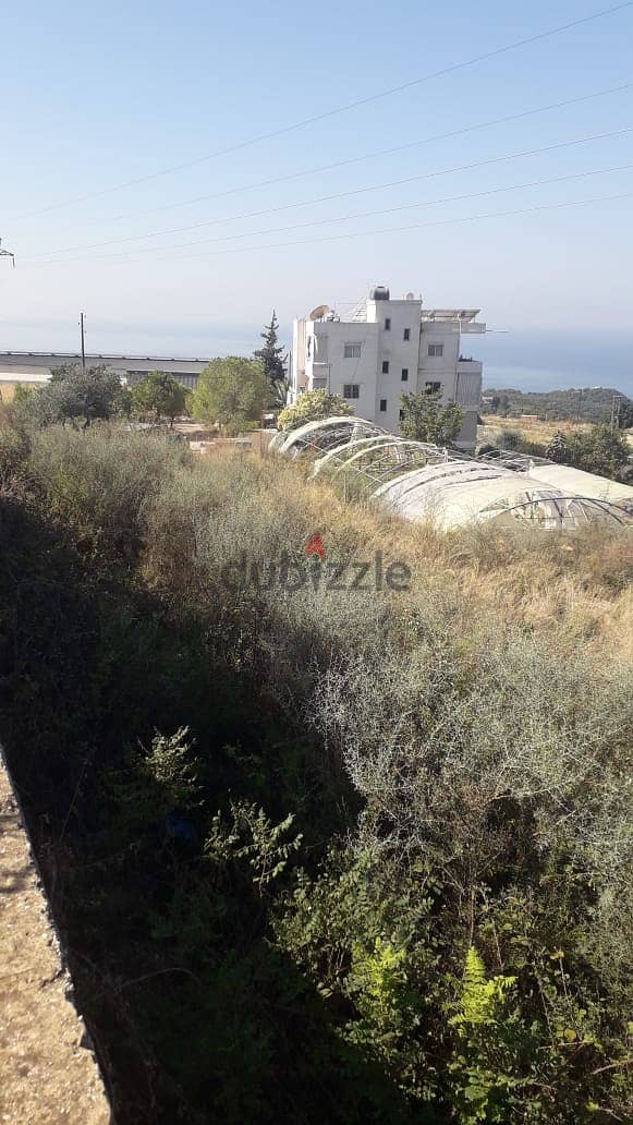 Land for sale in Kfarmashoun Jbeil أرض للبيع في كفرمسحون جبيل 5