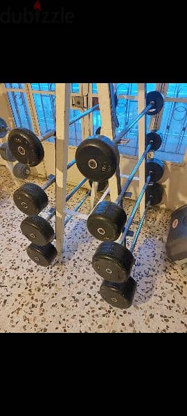 Serie barbells from 10kg to 40kg 1