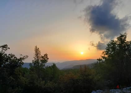 3,220 SQM Land with OAK TREES in Tarchich, Baabda with View