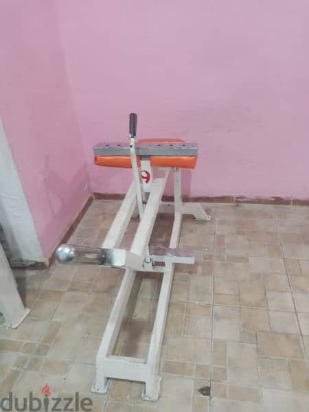 gym equipment 12