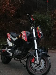 BENELLI Motorcycle 0