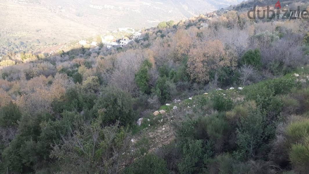 3188 Sqm | Land for sale in Kniseh / Chouf 1