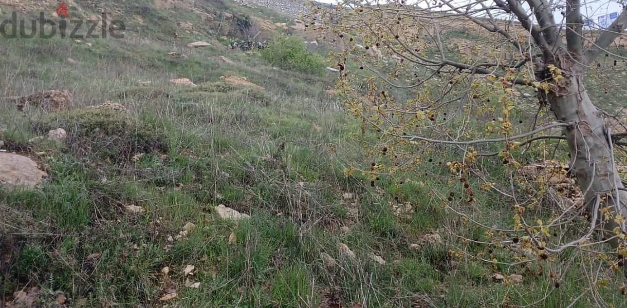 1300 Sqm | Prime Location Land For Sale In Sawfar | Mountain View 2
