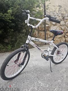 Bicycle for sale - unique design