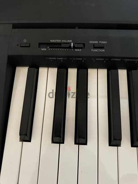 Yamaha P-45 Digital Piano 3