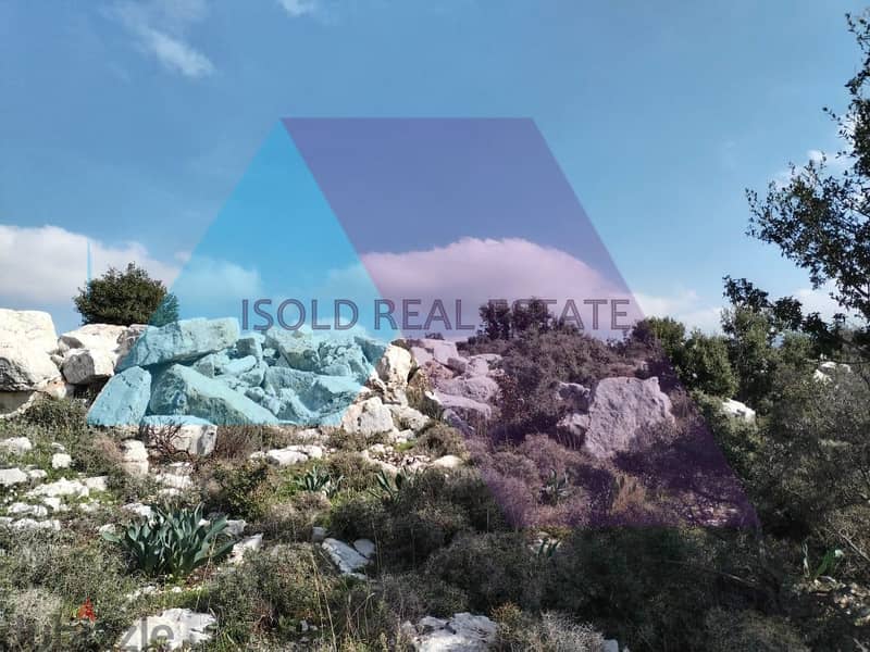 A 2500 m2 land for sale in Helta/Batroun 5