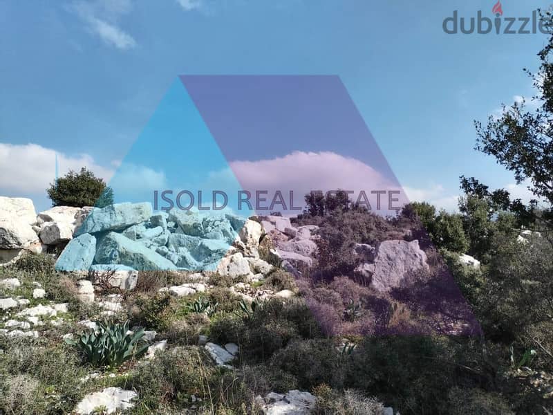 A 2500 m2 land for sale in Helta/Batroun 6