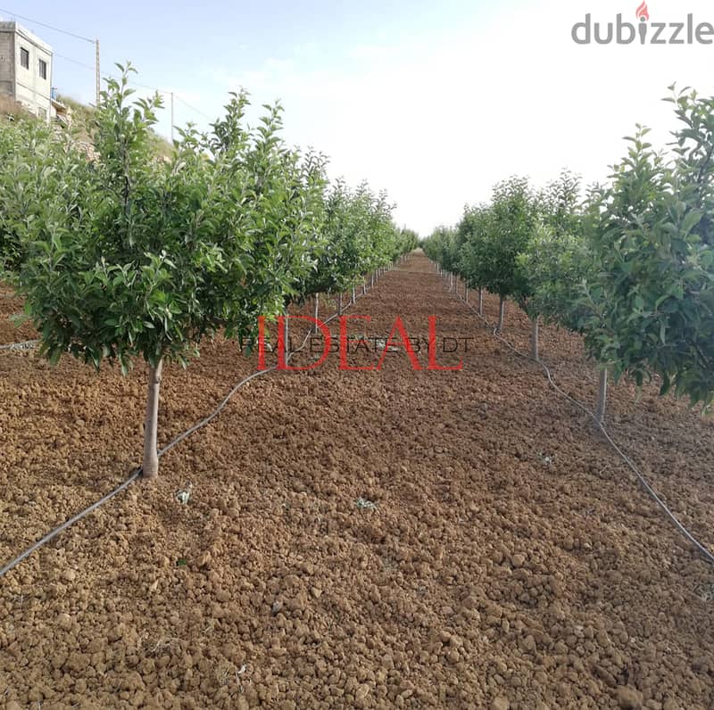 Land for sale in Ain Dara 5046 sqm ref#sch251أرض للبيع في عين دارة 2