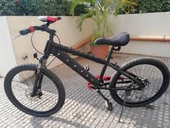 bicycle 24 inch