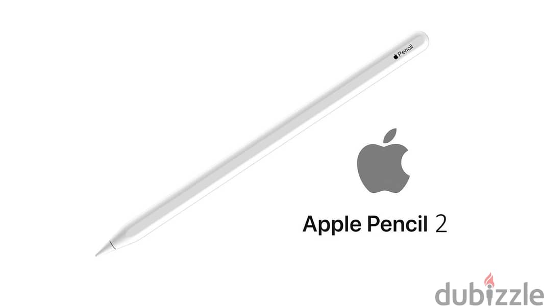 Apple Pencil 2 (2nd generation) 0