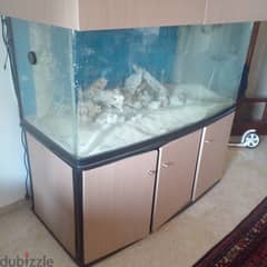 1000 lit aquarium for sale