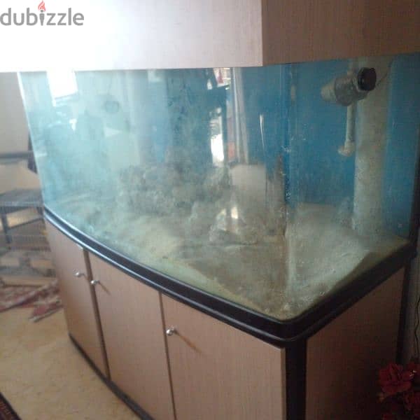 1000 lit aquarium for sale 1
