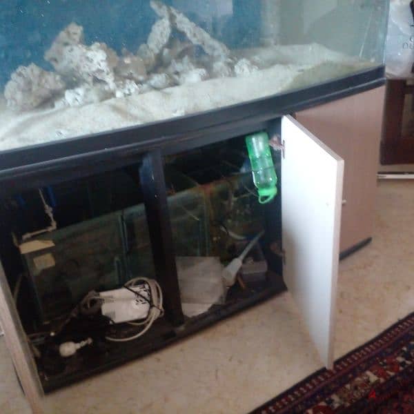 1000 lit aquarium for sale 2