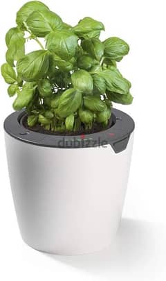 german store lazy leaf pot with watering system 0
