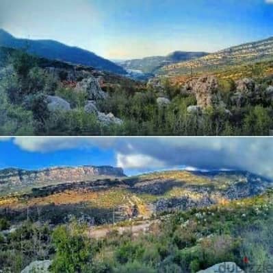 land for sale in douma - batroun EASY FINANCING تقسيط