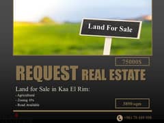 Land 3890 sqm For Sale In Kaa El Rim عقار 3890 متر للبيع في قاع الريم