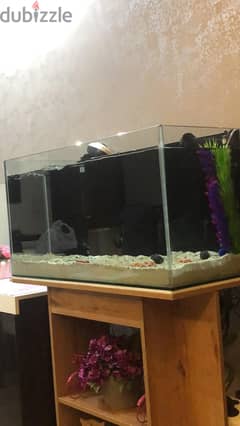 Aquarium 1 meter 0