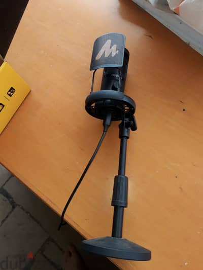 Microphone