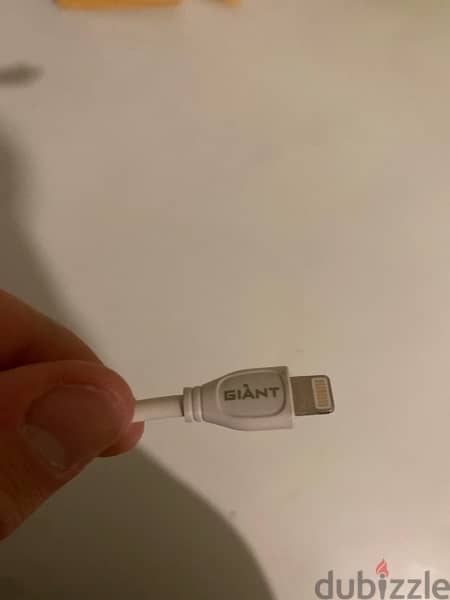 iPhone Charger 1
