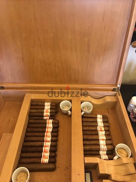 cigar humidifier 4