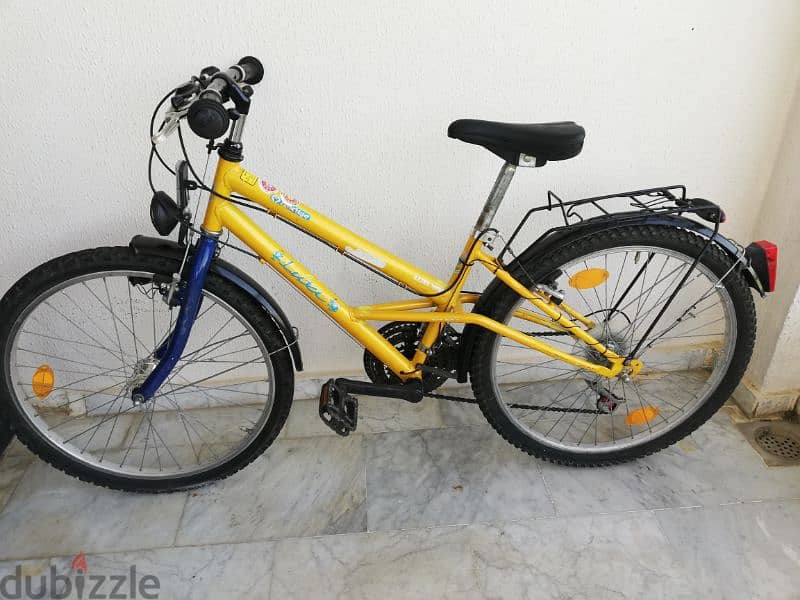 wuxi 300 bike size 24 1